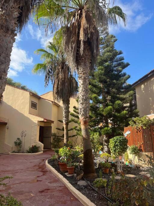 Casa Cactus Paraiso Parque Holandes Bagian luar foto