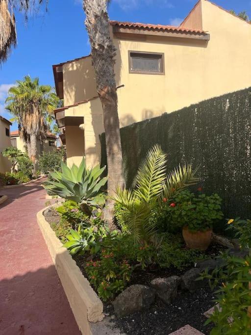 Casa Cactus Paraiso Parque Holandes Bagian luar foto